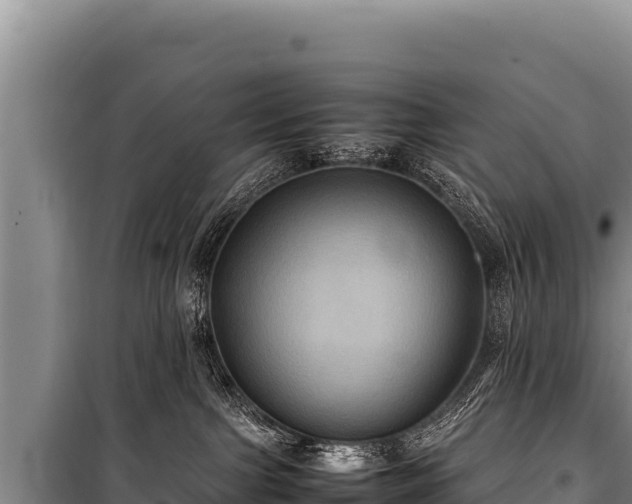 X0000100860091200806271210