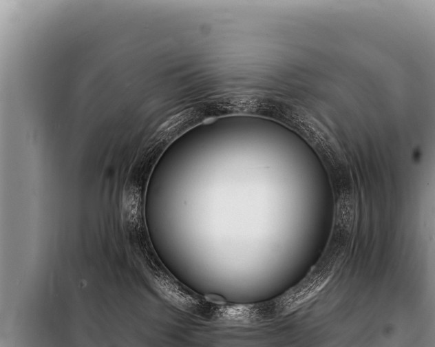 X0000100860092200806271210