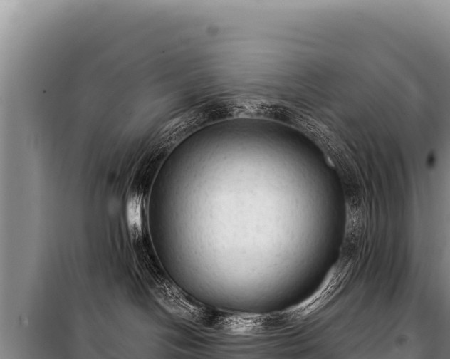 X0000100860094200806271210