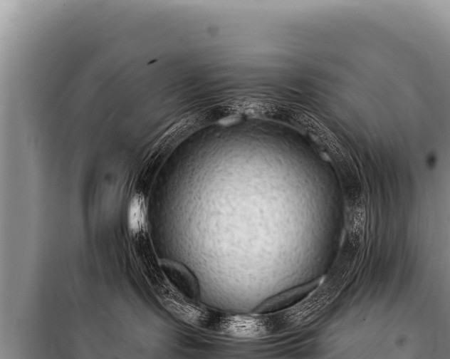 X0000100860095200806271210