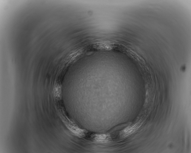 X0000100860096200806271210