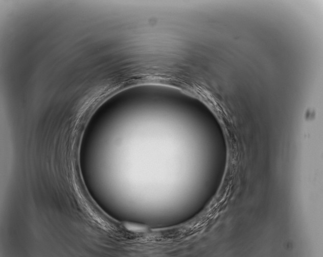 X0000100860097200806271209