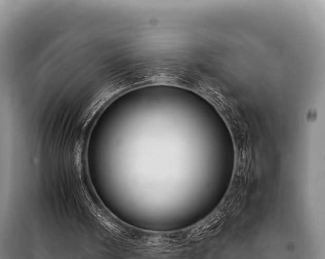 X0000100860098200806271209