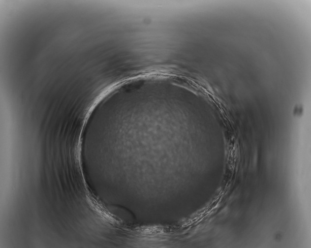 X0000100860100200806271209