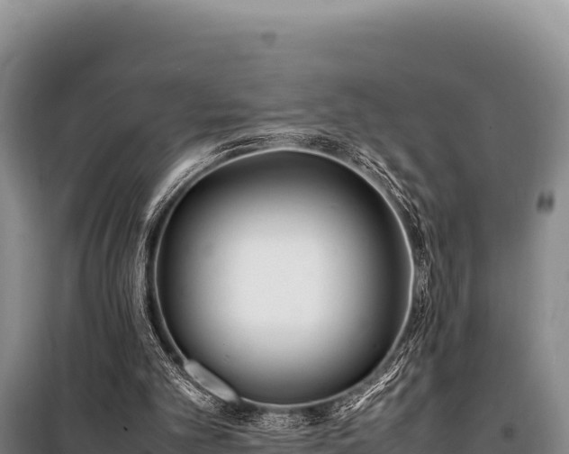 X0000100860101200806271209