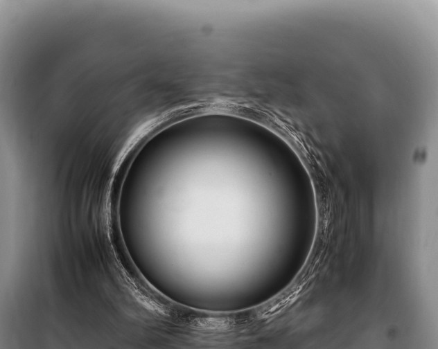 X0000100860102200806271209