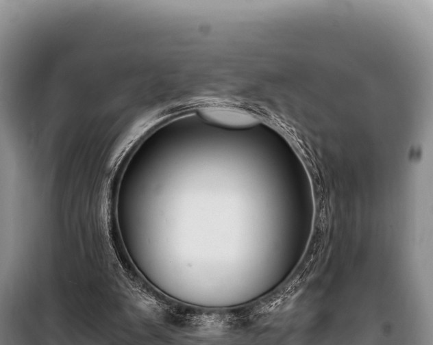 X0000100860103200806271209