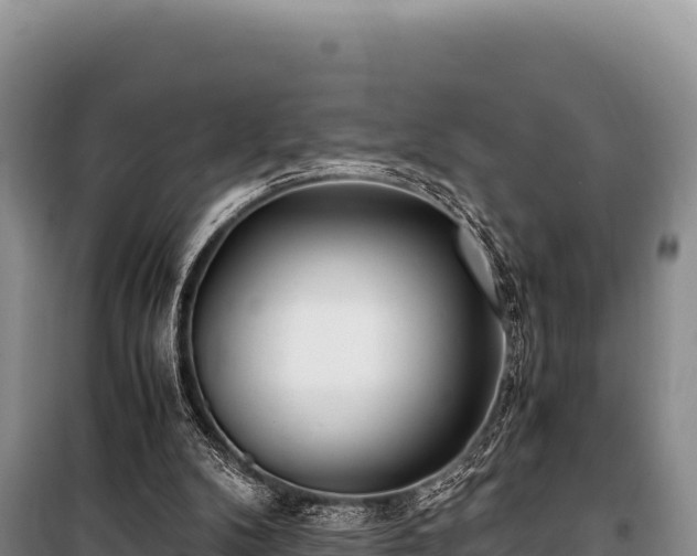 X0000100860104200806271209