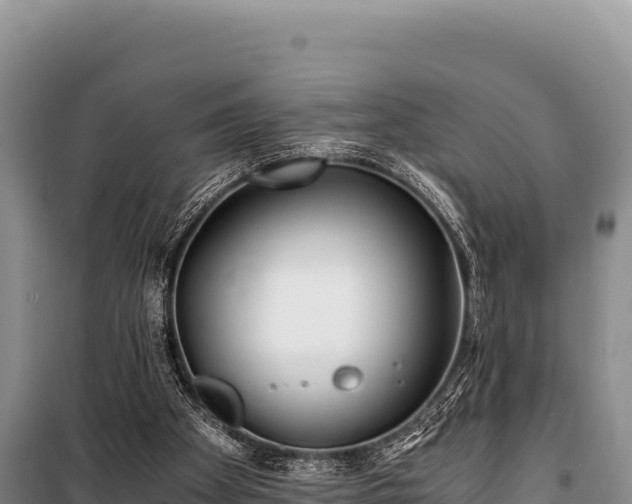 X0000100860105200806271209