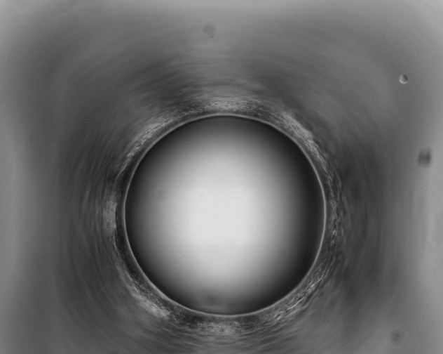 X0000100860106200806271209