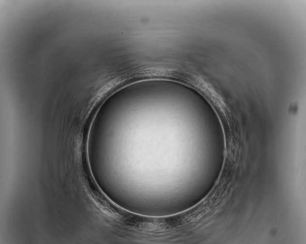 X0000100860107200806271209