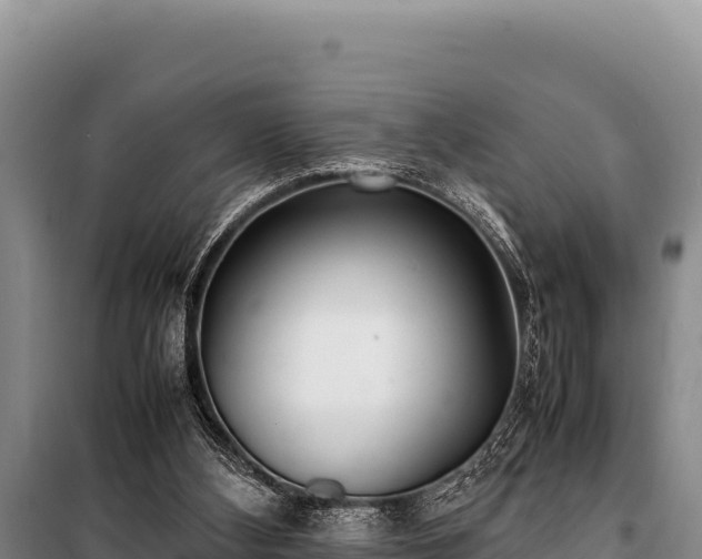 X0000100860108200806271209