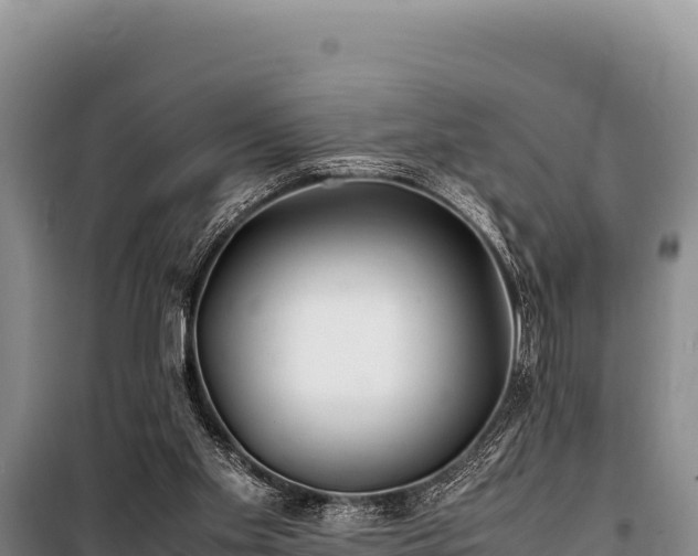 X0000100860109200806271209