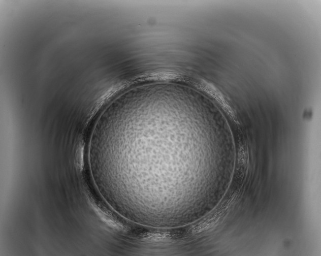 X0000100860110200806271209