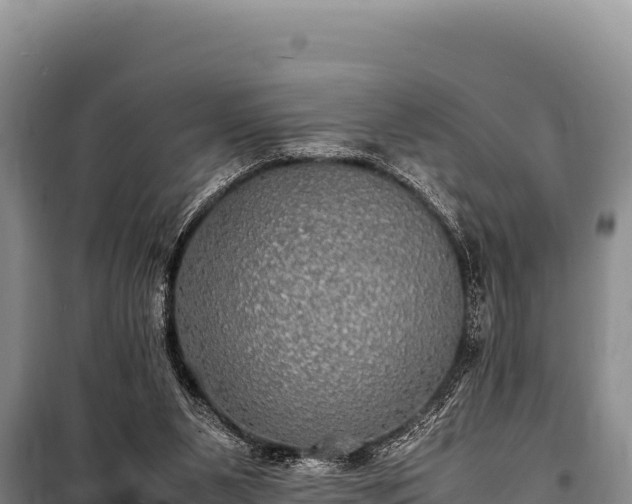 X0000100860111200806271209