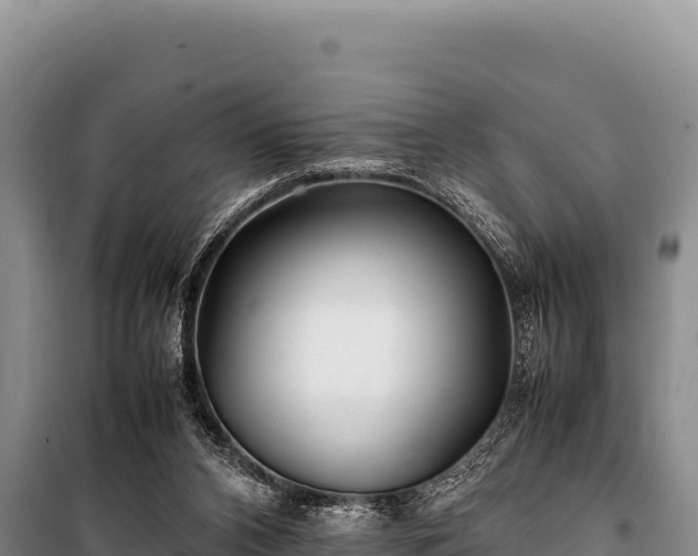 X0000100860112200806271209