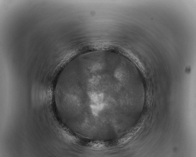 X0000100860113200806271209