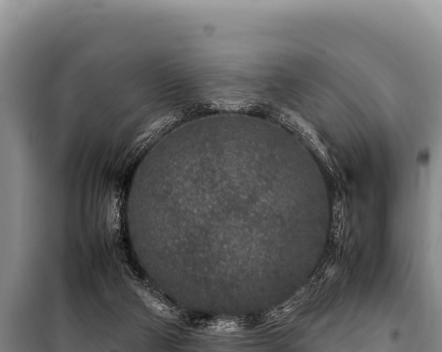 X0000100860114200806271209