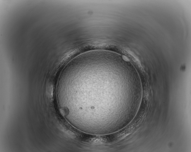 X0000100860115200806271209