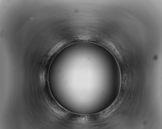 X0000100860116200806271209