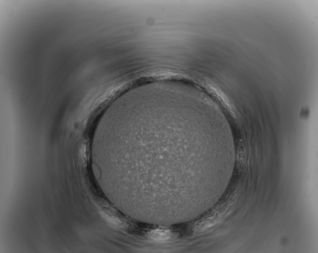 X0000100860119200806271209