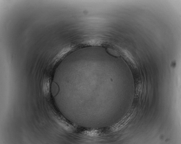 X0000100860120200806271209