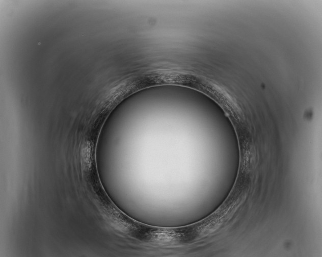 X0000100860121200806271209