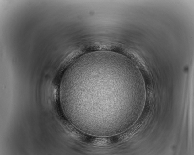 X0000100860123200806271209