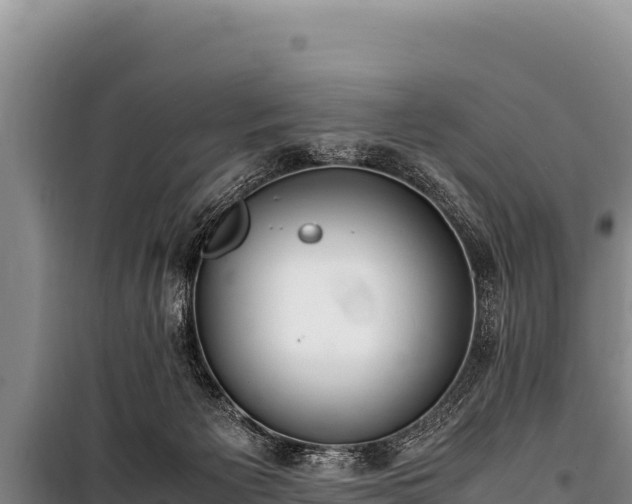 X0000100860125200806271209