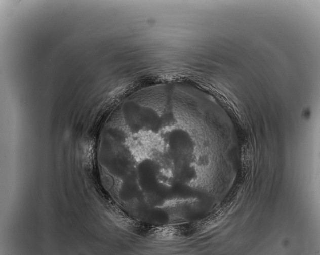 X0000100860127200806271209