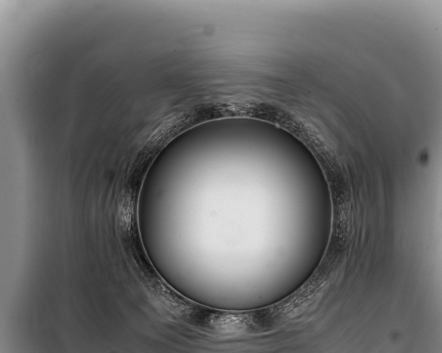 X0000100860129200806271209