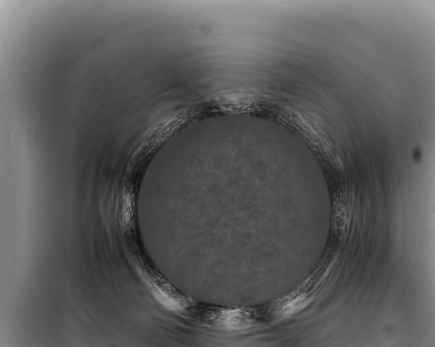 X0000100860130200806271209