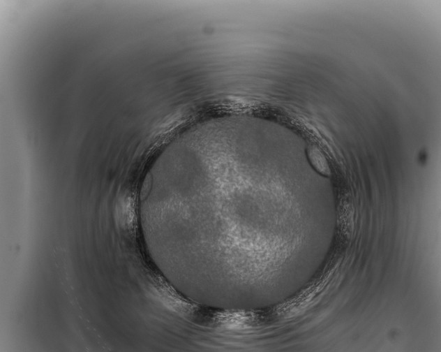 X0000100860131200806271209