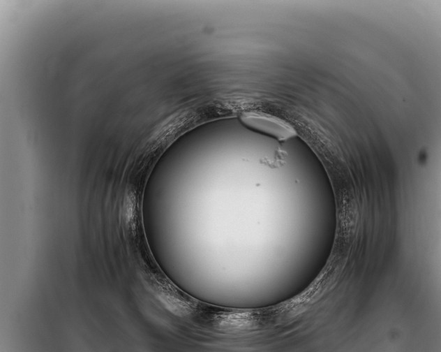 X0000100860132200806271209