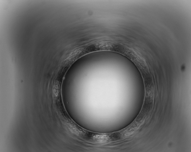 X0000100860133200806271209