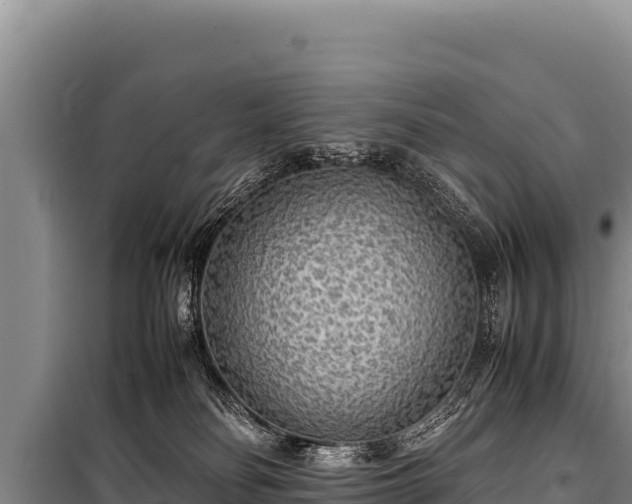 X0000100860134200806271209