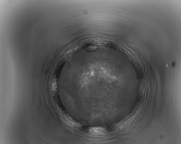 X0000100860137200806271208