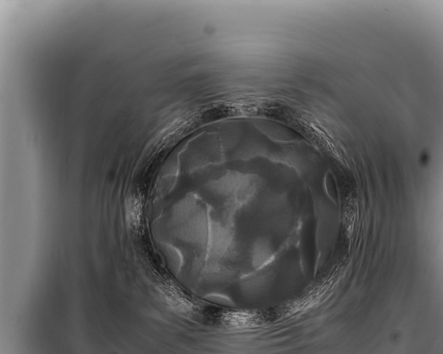 X0000100860139200806271208