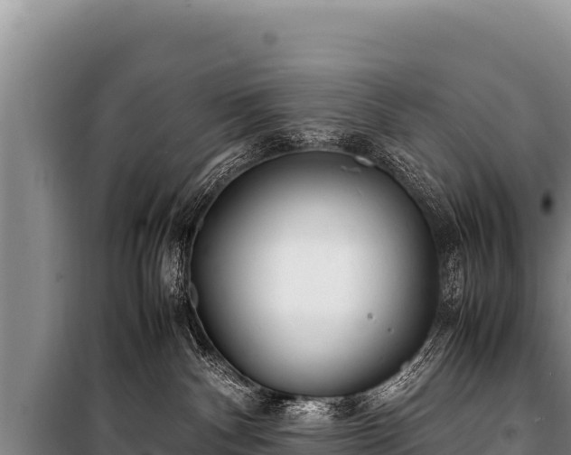 X0000100860140200806271208