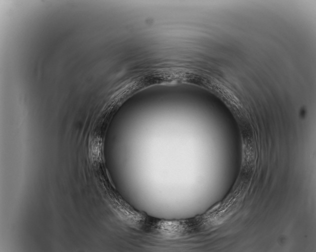 X0000100860141200806271208