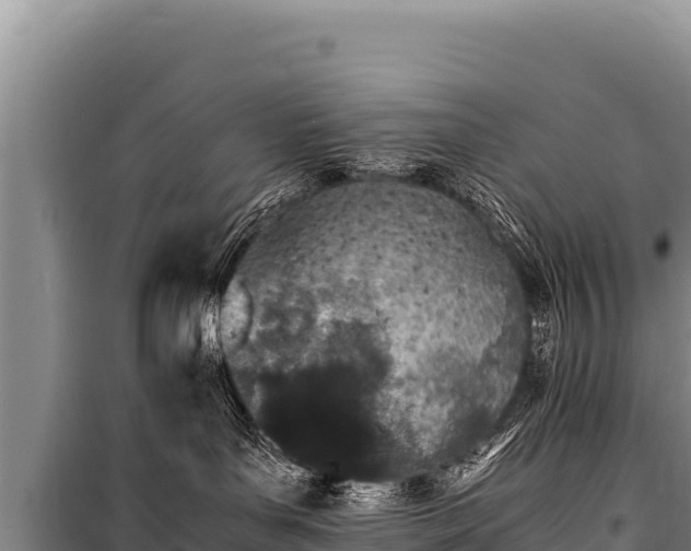 X0000100860143200806271208