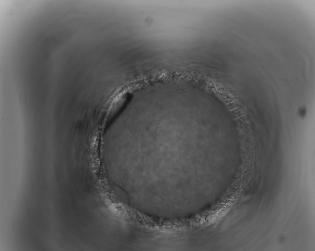 X0000100860144200806271208