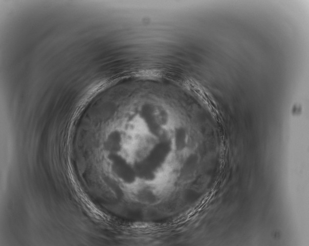 X0000100860145200806271208