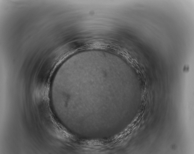 X0000100860146200806271208