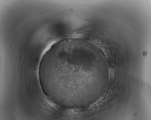 X0000100860147200806271208