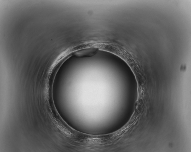 X0000100860150200806271208