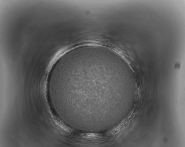 X0000100860151200806271208