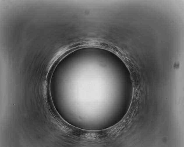 X0000100860152200806271208