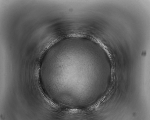 X0000100860153200806271208