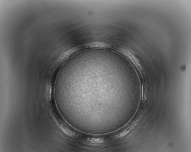 X0000100860157200806271208